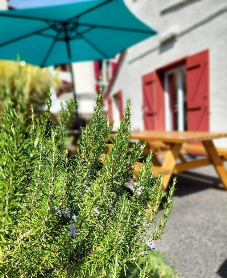 Garden - Utopy Hostel Biarritz Dış mekan fotoğraf